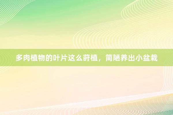 多肉植物的叶片这么莳植，简陋养出小盆栽