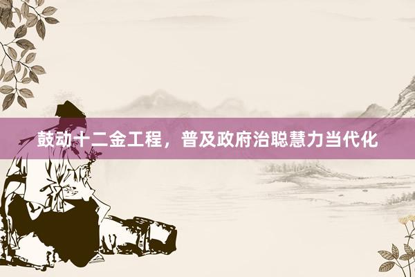 鼓动十二金工程，普及政府治聪慧力当代化