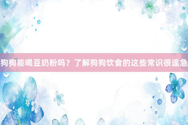 狗狗能喝豆奶粉吗？了解狗狗饮食的这些常识很遑急