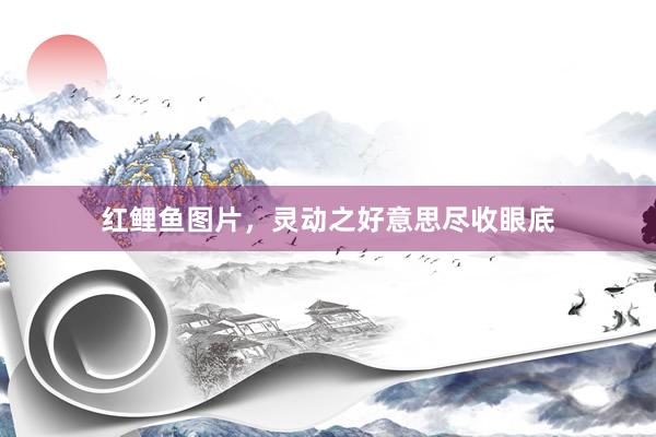 红鲤鱼图片，灵动之好意思尽收眼底